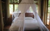 Туры в отель Puri Sunny Guest House , Munduk
