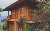 Туры в отель Puri Sunny Guest House , Munduk