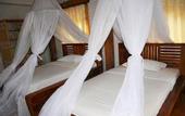 Туры в отель Puri Sunny Guest House , Munduk