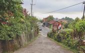 Туры в отель Puri Sunny Guest House , Munduk