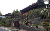 Туры в отель Puri Sunny Guest House , Munduk