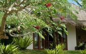 Туры в отель Awan Putih Resort