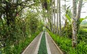 Туры в отель Awan Putih Resort