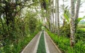 Туры в отель Awan Putih Resort