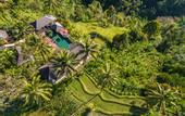 Туры в отель Awan Putih Resort