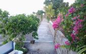 Туры в отель Solaluna Beach Homestay