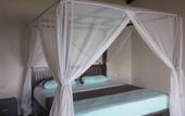 Туры в отель Solaluna Beach Homestay