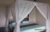 Туры в отель Solaluna Beach Homestay