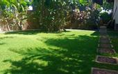 Туры в отель Solaluna Beach Homestay