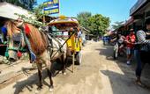 Туры в отель Gili Ocean Club - Adults Only