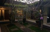 Туры в отель Made Arsa Homestay