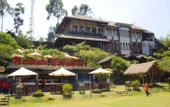 Туры в отель Rumah Stroberi Organic Farm and Lodge