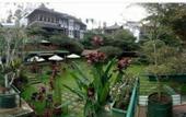 Туры в отель Rumah Stroberi Organic Farm and Lodge