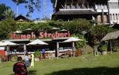 Туры в отель Rumah Stroberi Organic Farm and Lodge