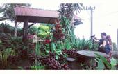Туры в отель Puri Sunset Homestay