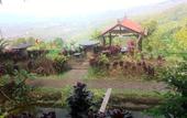 Туры в отель Puri Sunset Homestay