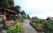 Туры в отель Puri Sunset Homestay