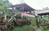 Туры в отель Puri Sunset Homestay