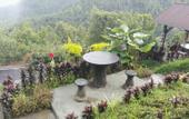 Туры в отель Puri Sunset Homestay