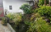 Туры в отель Puri Sunset Homestay