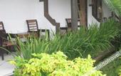 Туры в отель Pondok Tetebatu Cottages and Cafe