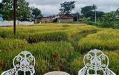 Туры в отель Putri Duyung Guest House
