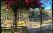 Туры в отель Lembah Rinjani Villa & Resto Syariah by Ecommerceloka