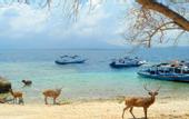 Туры в отель Dewantara Resort Bali