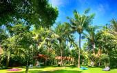 Туры в отель Dewantara Resort Bali