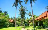 Туры в отель Dewantara Resort Bali