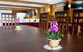 Туры в отель Rehat at Hotel Sabang