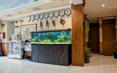 Туры в отель Rehat at Hotel Sabang