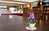 Туры в отель Rehat at Hotel Sabang