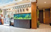 Туры в отель Rehat at Hotel Sabang