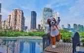 Туры в отель Swiss-Belresidences Rasuna Epicentrum
