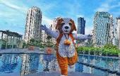 Туры в отель Swiss-Belresidences Rasuna Epicentrum