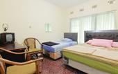 Туры в отель Hotel Wijaya 1 Kaliurang