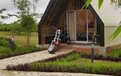 Туры в отель D'Bamboo Kamp
