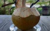 Туры в отель D'Bamboo Kamp