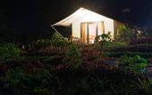 Туры в отель D'Bamboo Kamp