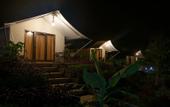 Туры в отель D'Bamboo Kamp