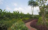 Туры в отель Grand Sunshine Resort & Convention