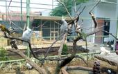 Туры в отель Grand Sunshine Resort & Convention