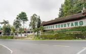Туры в отель Pondok Gembyang Ciwidey RedPartner