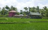 Туры в отель Cahaya Tetebatu Inn