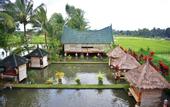 Туры в отель Cahaya Tetebatu Inn