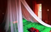 Туры в отель Cahaya Tetebatu Inn