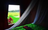 Туры в отель Cahaya Tetebatu Inn