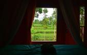 Туры в отель Cahaya Tetebatu Inn