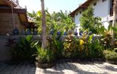 Туры в отель Khalisha Villa